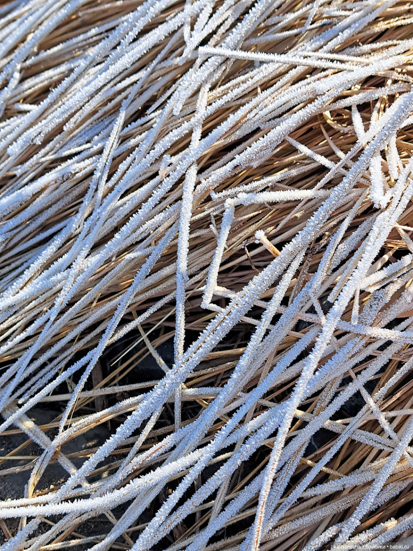 ...там где чайки кричат: "Шапку надень, простудишься!" (с) (фото 7)