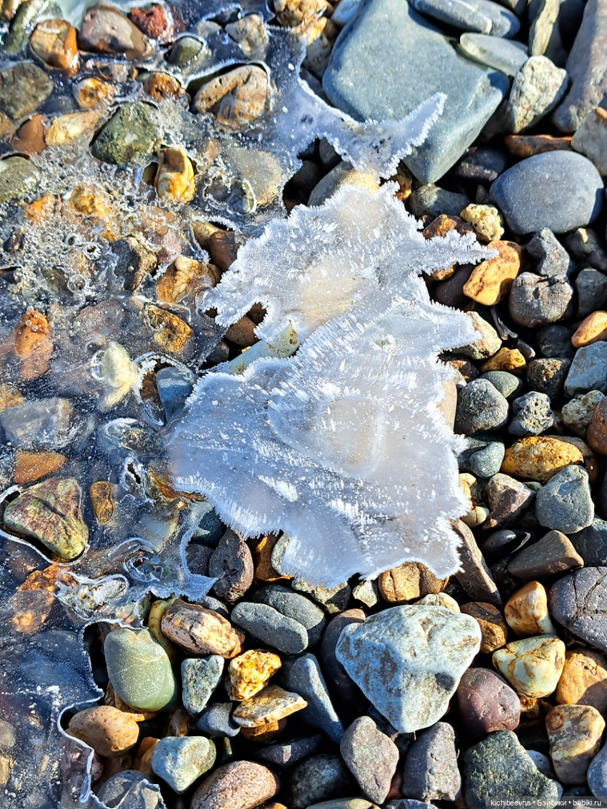 ...там где чайки кричат: "Шапку надень, простудишься!" (с)