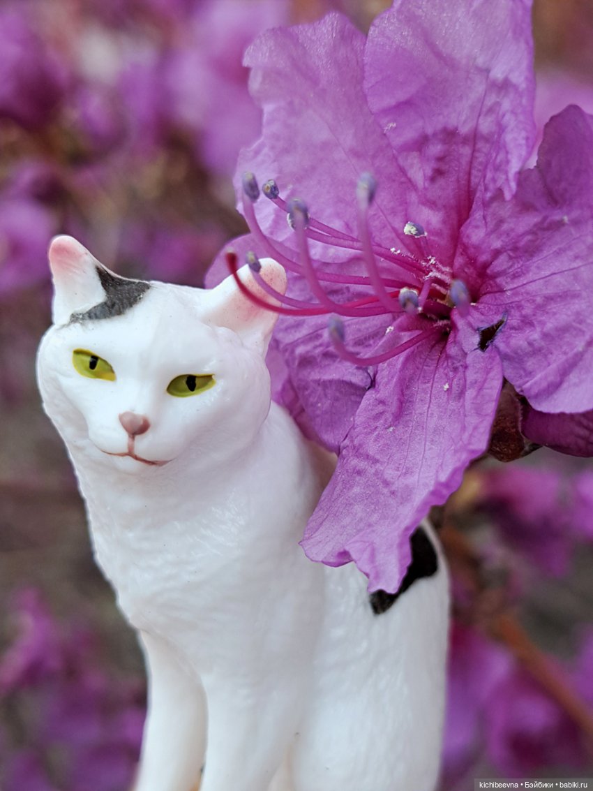 Витамин Це — Коллекционные фигурки (разное): животные