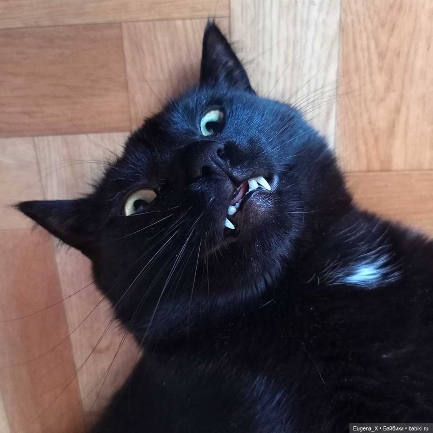 Моя первая Shadow High. Распаковка и впечатления