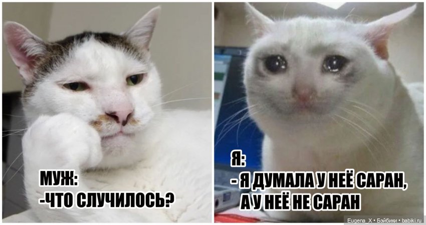 Мемы о куклах — Интересное и необычное: фотоподборки