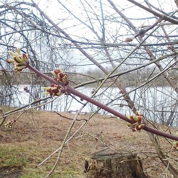 Ура, тепло! Но не очень