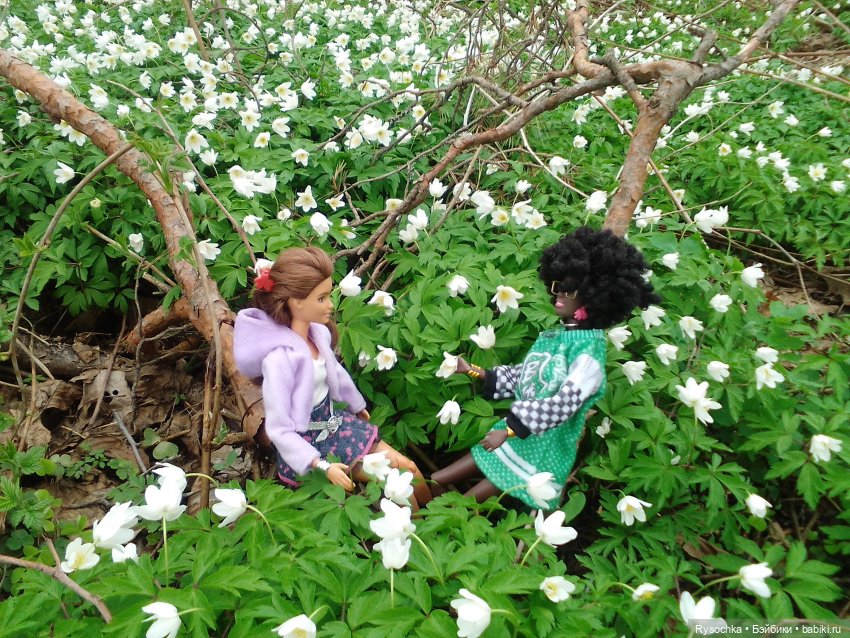 Цветочные поляны — Куклы Barbie (Барби): Looks