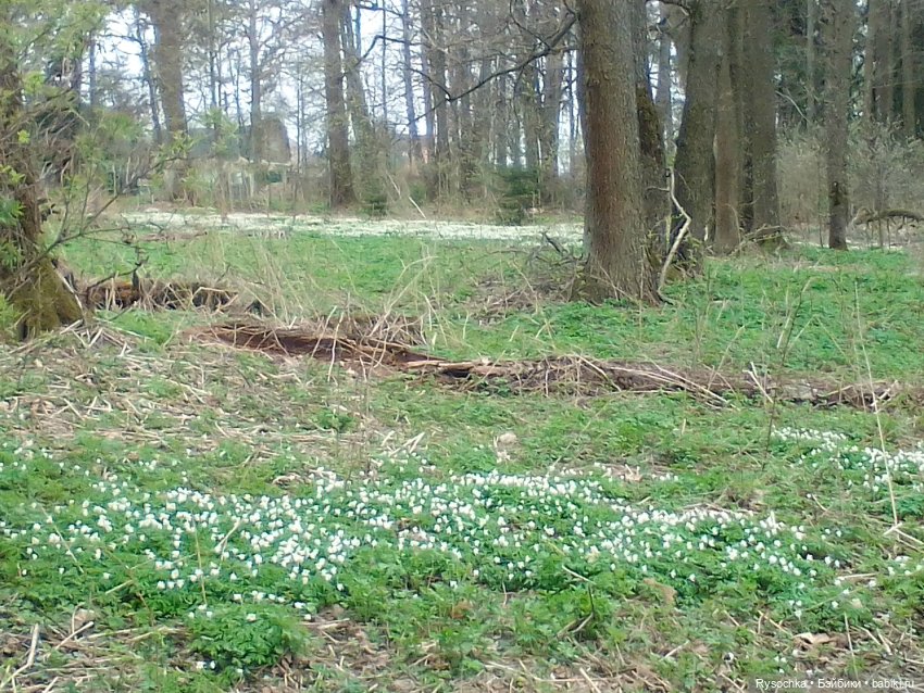 Цветочные поляны — Куклы Barbie (Барби): Looks (фото 8)