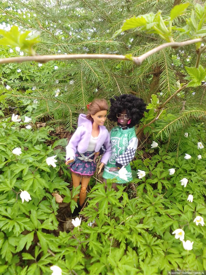 Цветочные поляны — Куклы Barbie (Барби): Looks