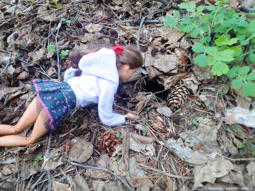 Цветочные поляны — Куклы Barbie (Барби): Looks