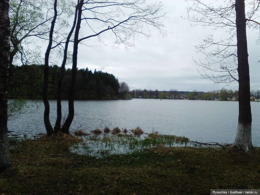 Цветочные поляны — Куклы Barbie (Барби): Looks (фото 2)