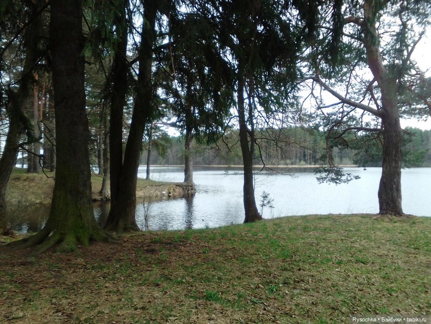 Цветочные поляны — Куклы Barbie (Барби): Looks