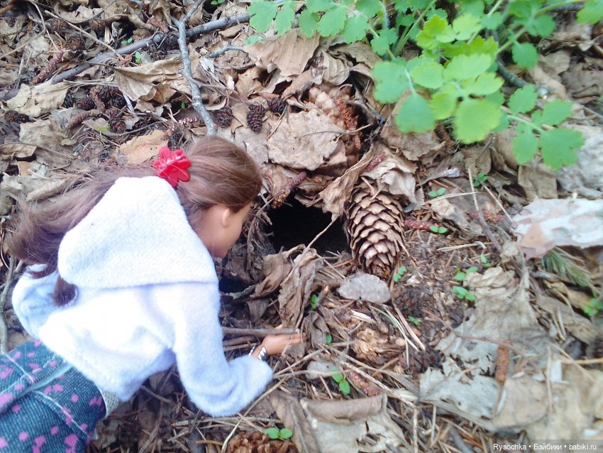 Цветочные поляны — Куклы Barbie (Барби): Looks