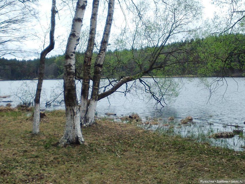 Цветочные поляны — Куклы Barbie (Барби): Looks (фото 4)