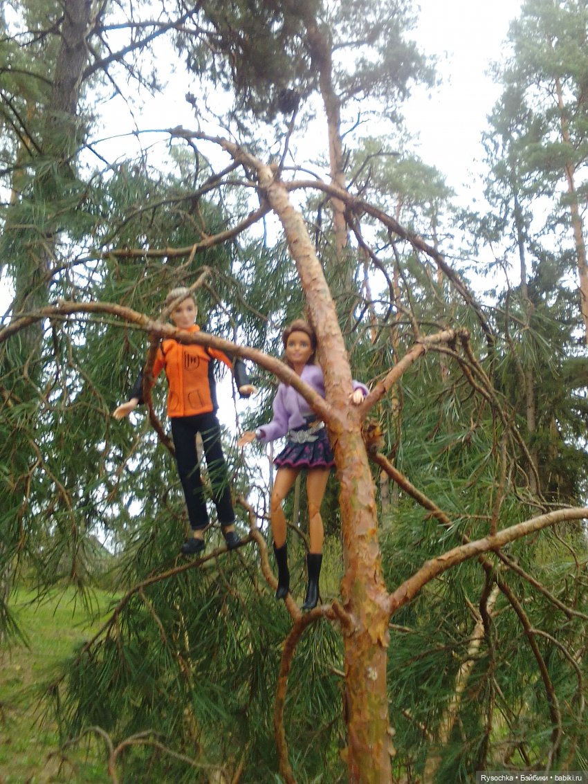 Цветочные поляны — Куклы Barbie (Барби): Looks