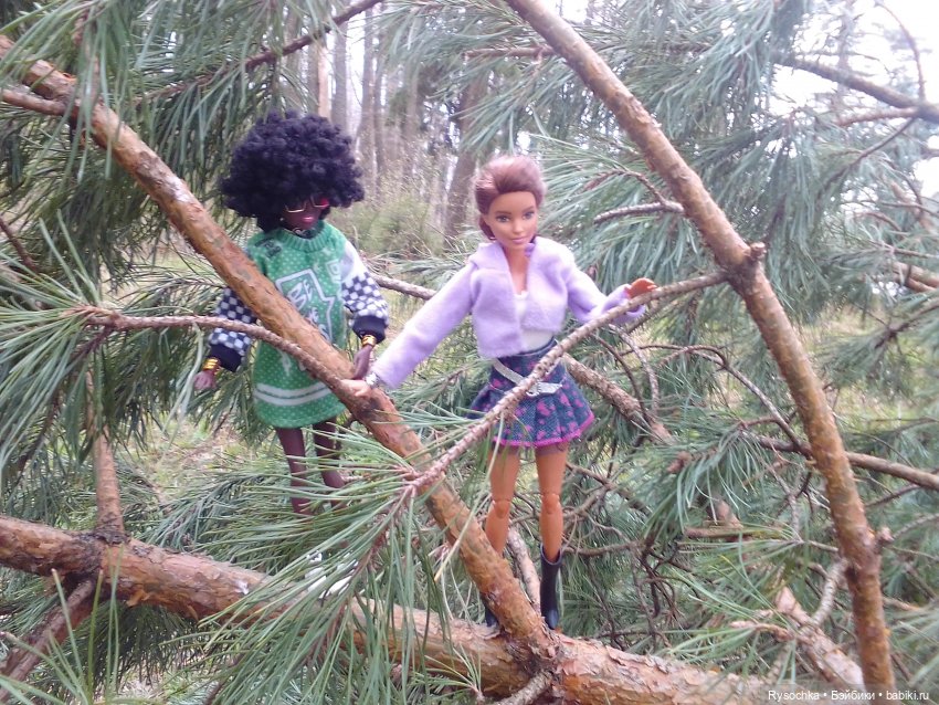 Цветочные поляны — Куклы Barbie (Барби): Looks