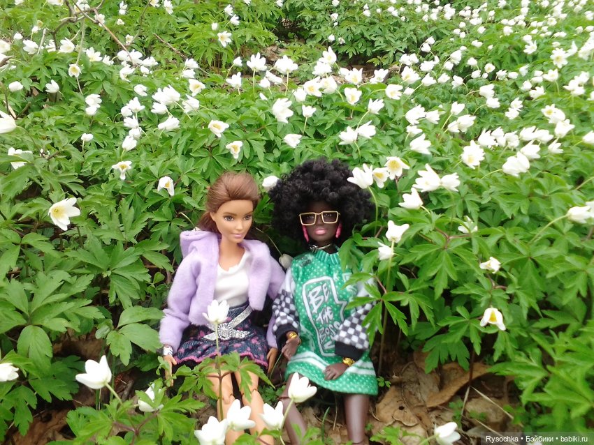 Цветочные поляны — Куклы Barbie (Барби): Looks