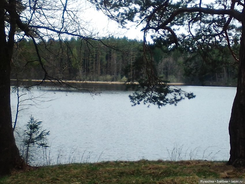 Цветочные поляны — Куклы Barbie (Барби): Looks