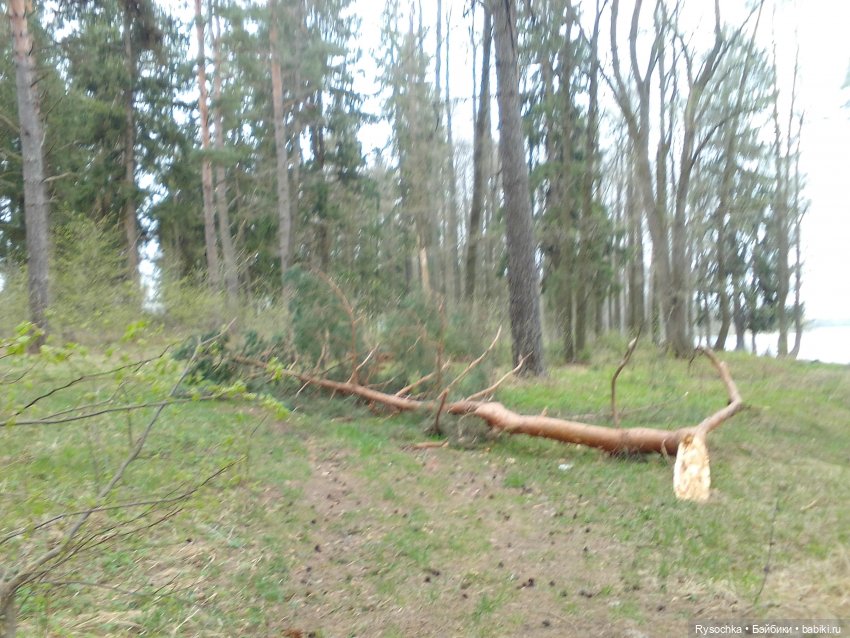 Цветочные поляны — Куклы Barbie (Барби): Looks