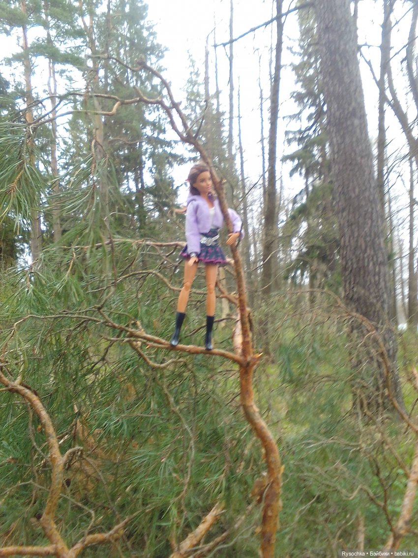 Цветочные поляны — Куклы Barbie (Барби): Looks