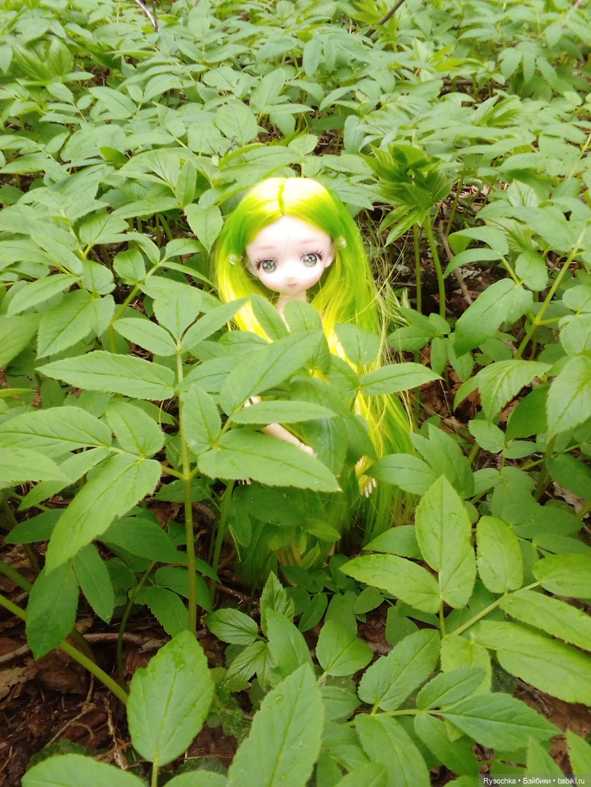 Новенькая, зелёненькая — Куклы с Алиэкспресс (Aliexpress): Китайские шарнирные