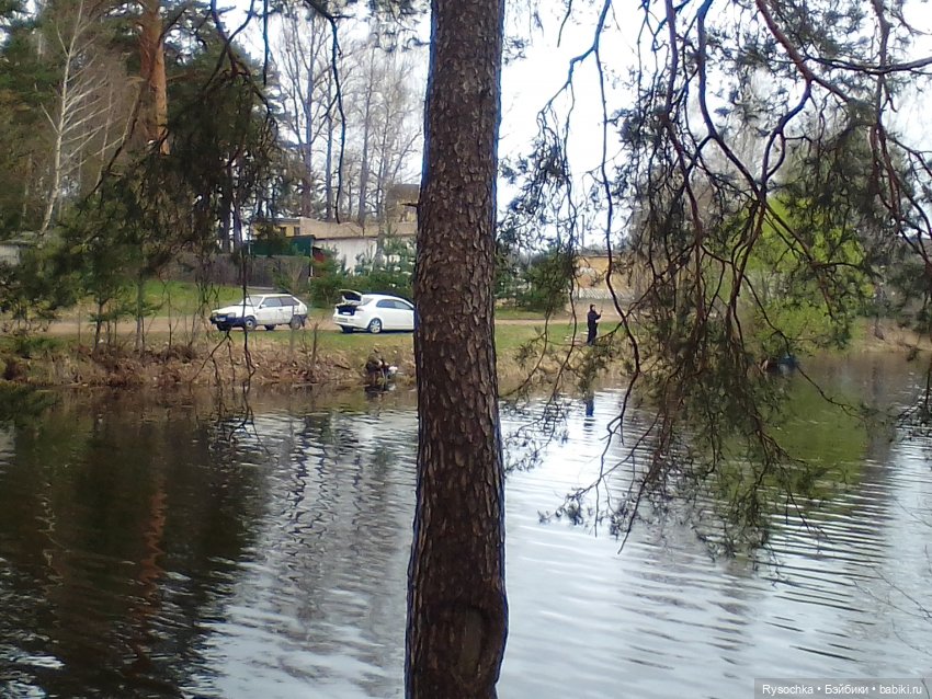 Новенькая, зелёненькая — Куклы с Алиэкспресс (Aliexpress): Китайские шарнирные