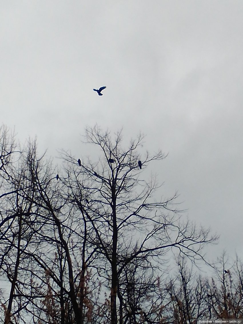 Новенькая, зелёненькая — Куклы с Алиэкспресс (Aliexpress): Китайские шарнирные