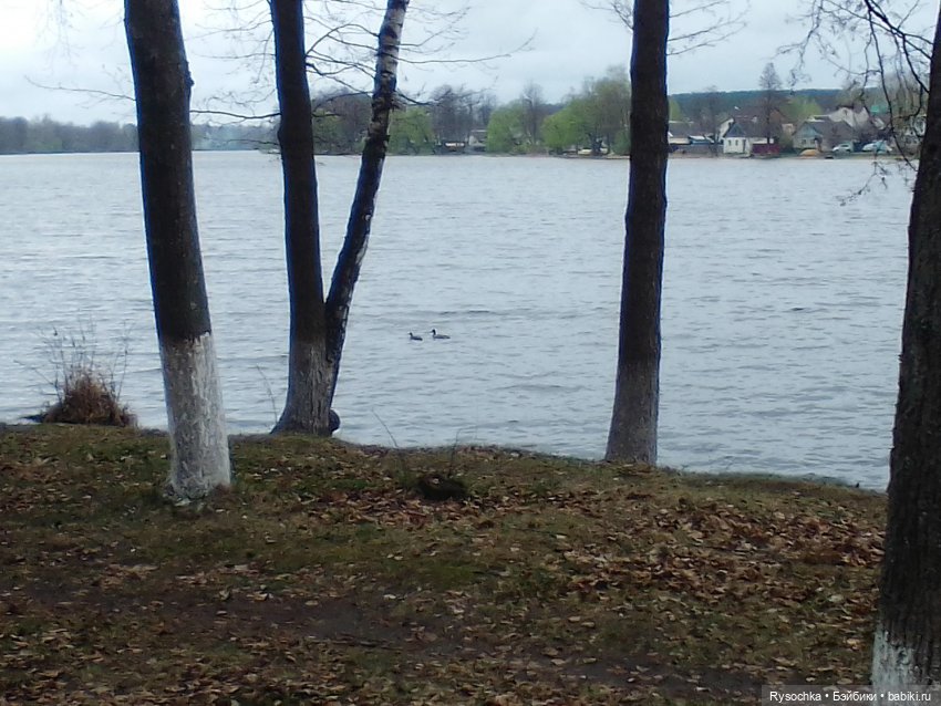 Новенькая, зелёненькая — Куклы с Алиэкспресс (Aliexpress): Китайские шарнирные