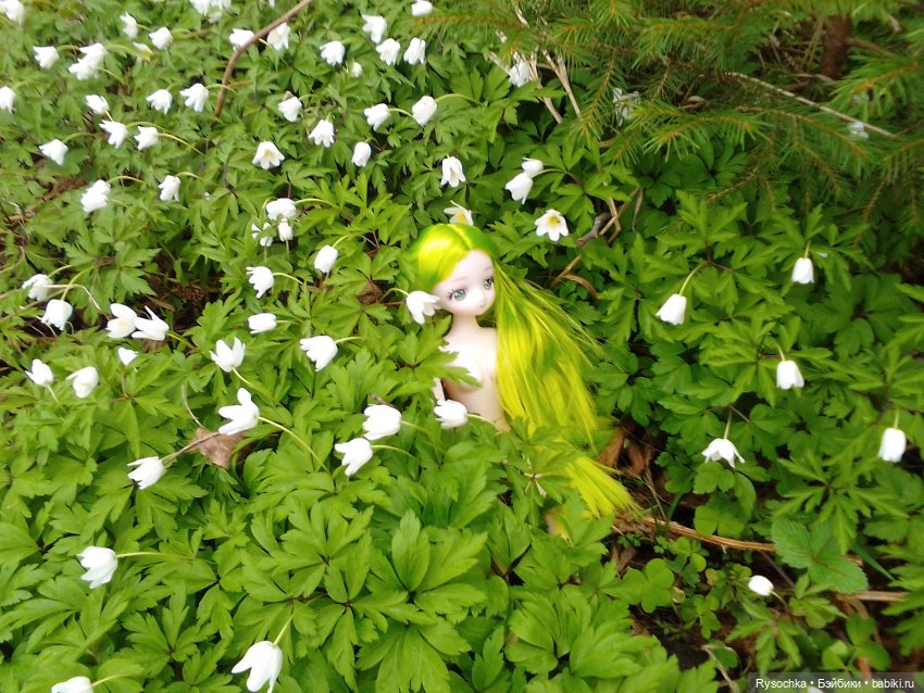 Новенькая, зелёненькая — Куклы с Алиэкспресс (Aliexpress): Китайские шарнирные (фото 6)