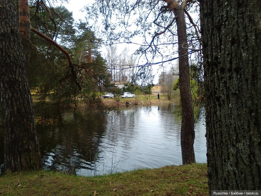 Новенькая, зелёненькая — Куклы с Алиэкспресс (Aliexpress): Китайские шарнирные