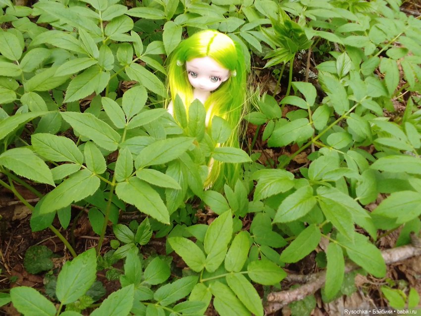 Новенькая, зелёненькая — Куклы с Алиэкспресс (Aliexpress): Китайские шарнирные