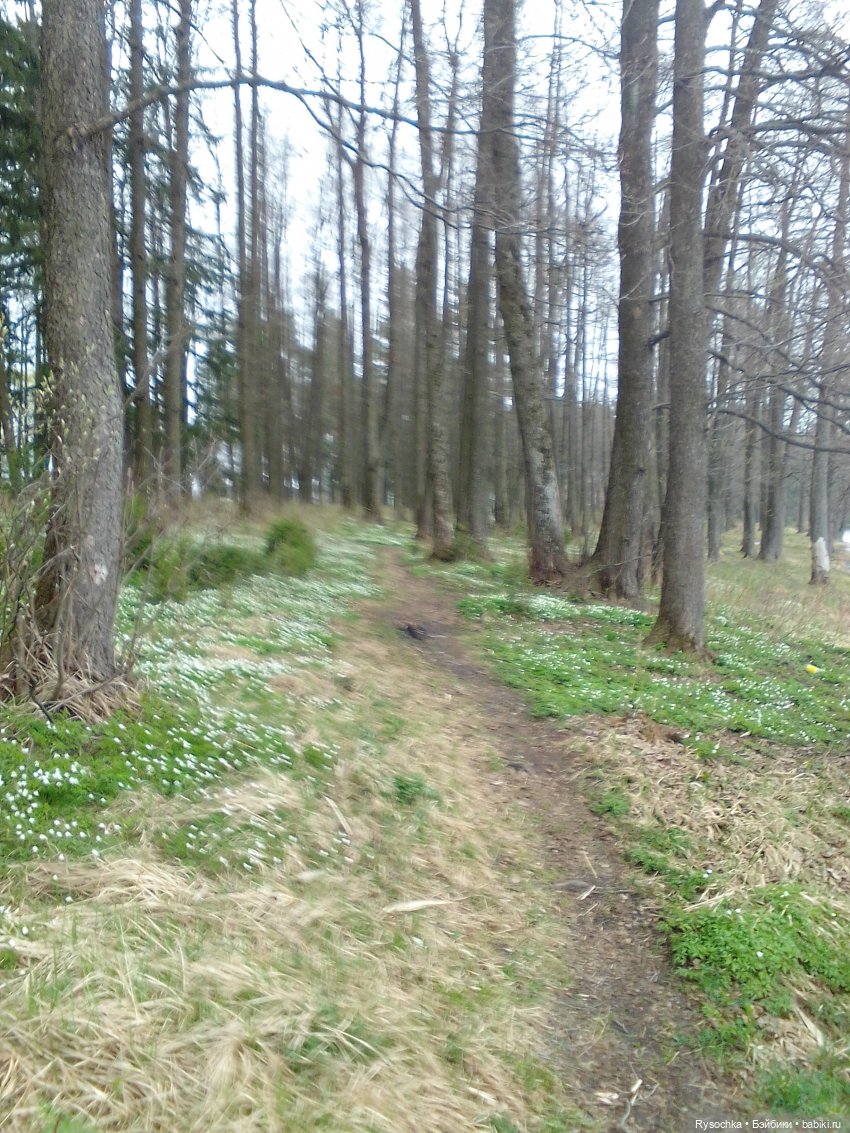 Новенькая, зелёненькая — Куклы с Алиэкспресс (Aliexpress): Китайские шарнирные