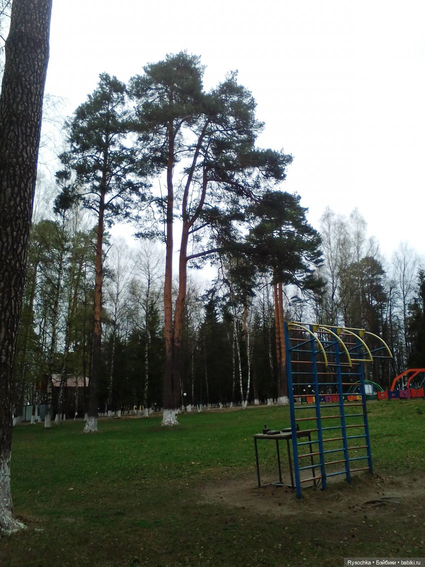 Новенькая, зелёненькая — Куклы с Алиэкспресс (Aliexpress): Китайские шарнирные