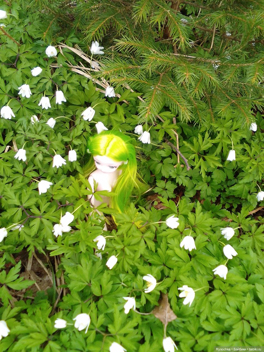 Новенькая, зелёненькая — Куклы с Алиэкспресс (Aliexpress): Китайские шарнирные (фото 8)