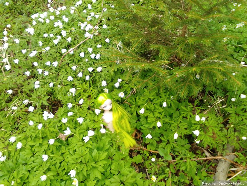 Новенькая, зелёненькая — Куклы с Алиэкспресс (Aliexpress): Китайские шарнирные (фото 7)