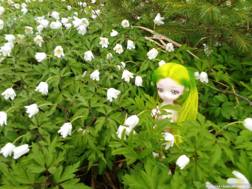 Новенькая, зелёненькая — Куклы с Алиэкспресс (Aliexpress): Китайские шарнирные (фото 9)