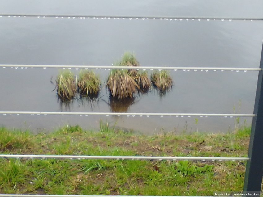 Гуляем возле дома — Аналоги Барби и куклы 1/6: клоны 90