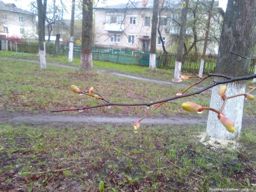 Гуляем возле дома — Аналоги Барби и куклы 1/6: клоны 90