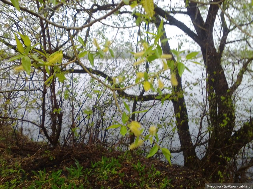 Гуляем возле дома — Аналоги Барби и куклы 1/6: клоны 90