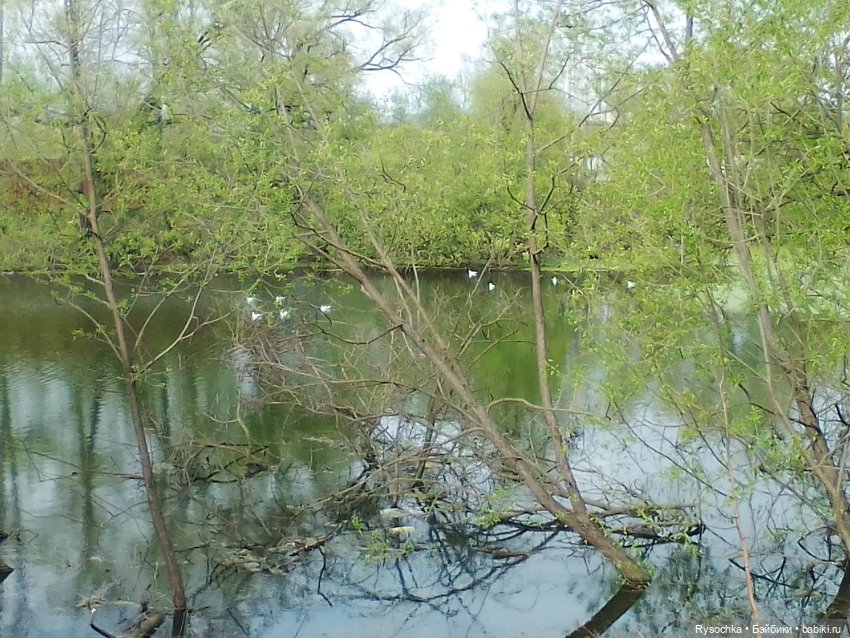 Гуляем возле дома — Аналоги Барби и куклы 1/6: клоны 90