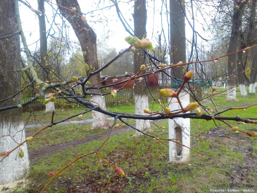 Гуляем возле дома — Аналоги Барби и куклы 1/6: клоны 90