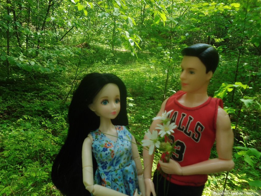 Встреча в лесу — Куклы с Алиэкспресс (Aliexpress): Китайские шарнирные