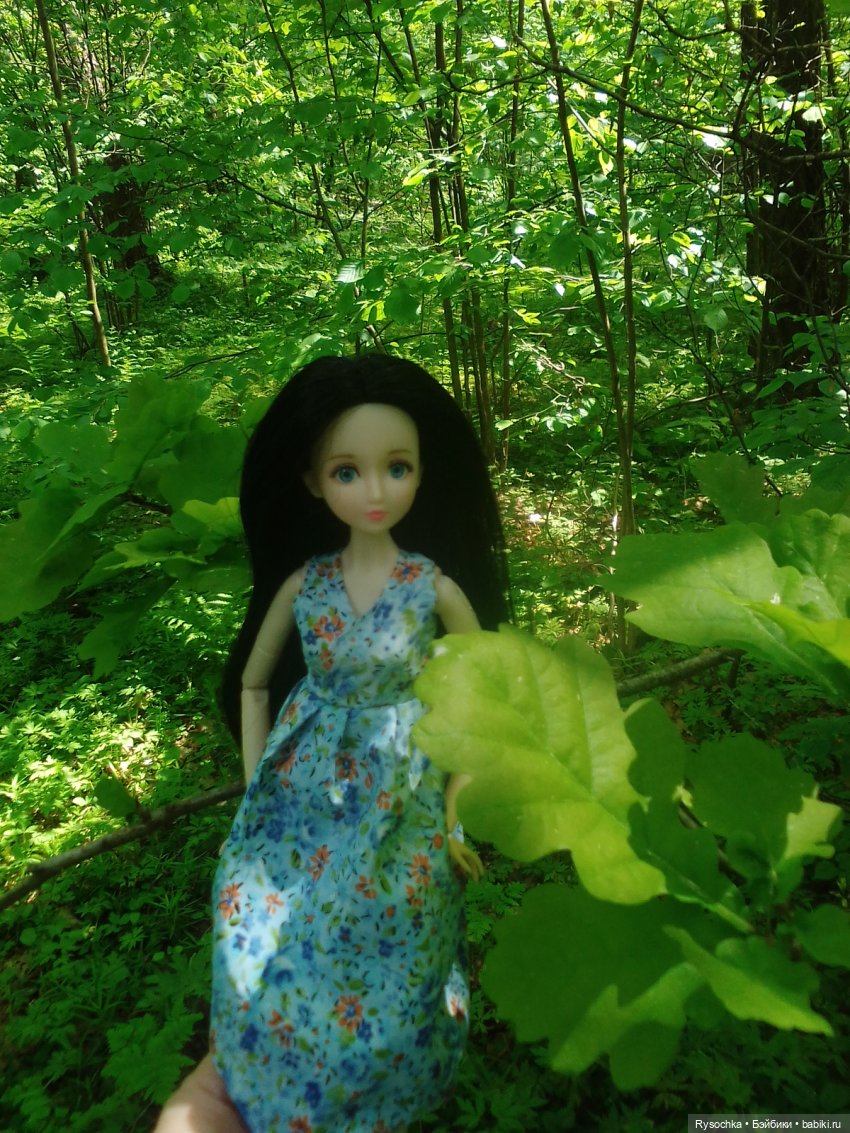 Встреча в лесу — Куклы с Алиэкспресс (Aliexpress): Китайские шарнирные