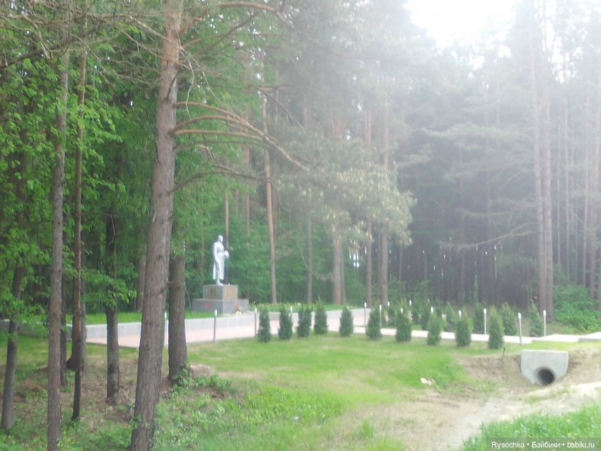 Встреча в лесу — Куклы с Алиэкспресс (Aliexpress): Китайские шарнирные