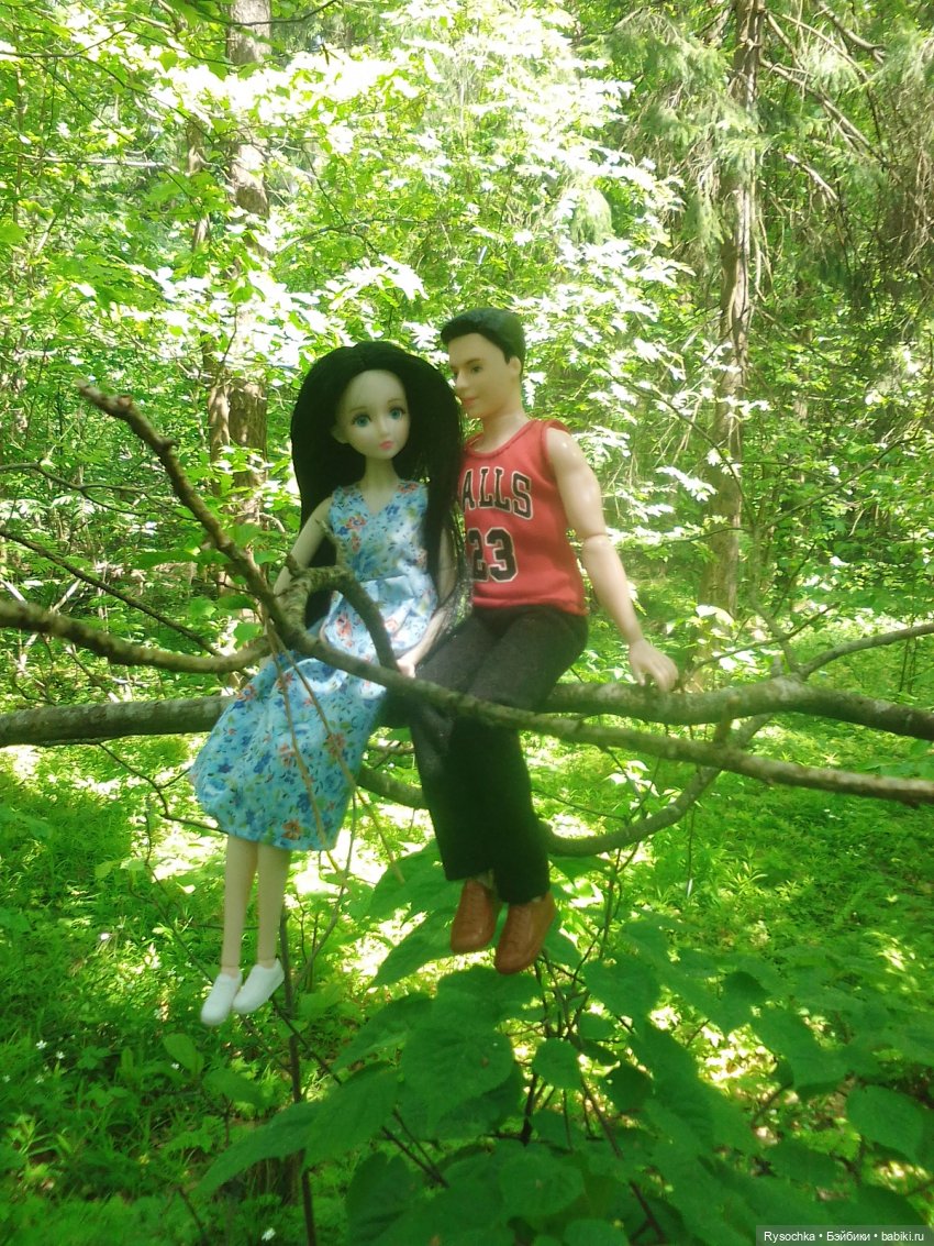 Встреча в лесу — Куклы с Алиэкспресс (Aliexpress): Китайские шарнирные