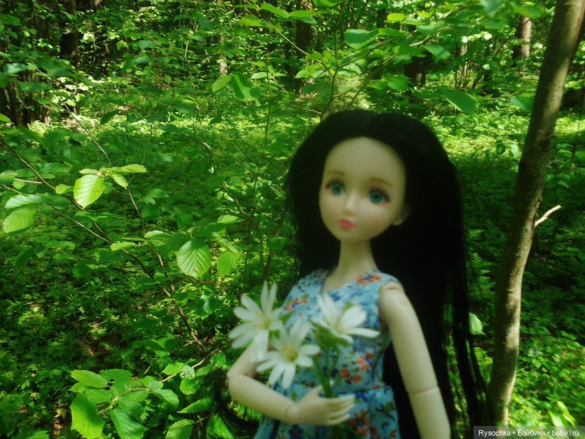 Встреча в лесу — Куклы с Алиэкспресс (Aliexpress): Китайские шарнирные