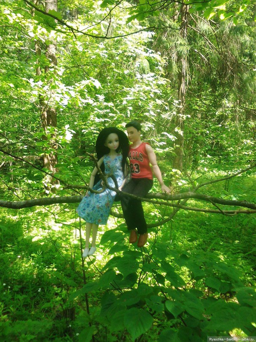 Встреча в лесу — Куклы с Алиэкспресс (Aliexpress): Китайские шарнирные