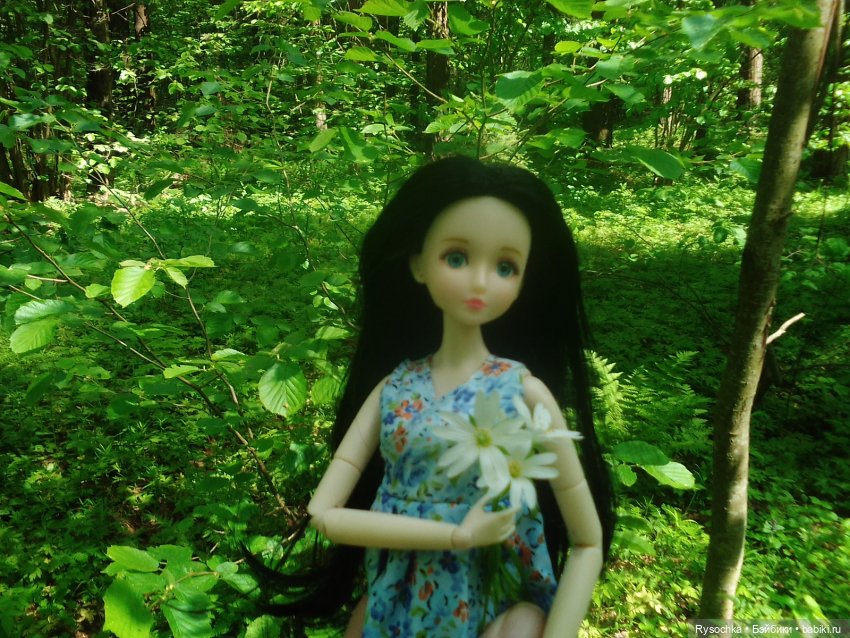 Встреча в лесу — Куклы с Алиэкспресс (Aliexpress): Китайские шарнирные
