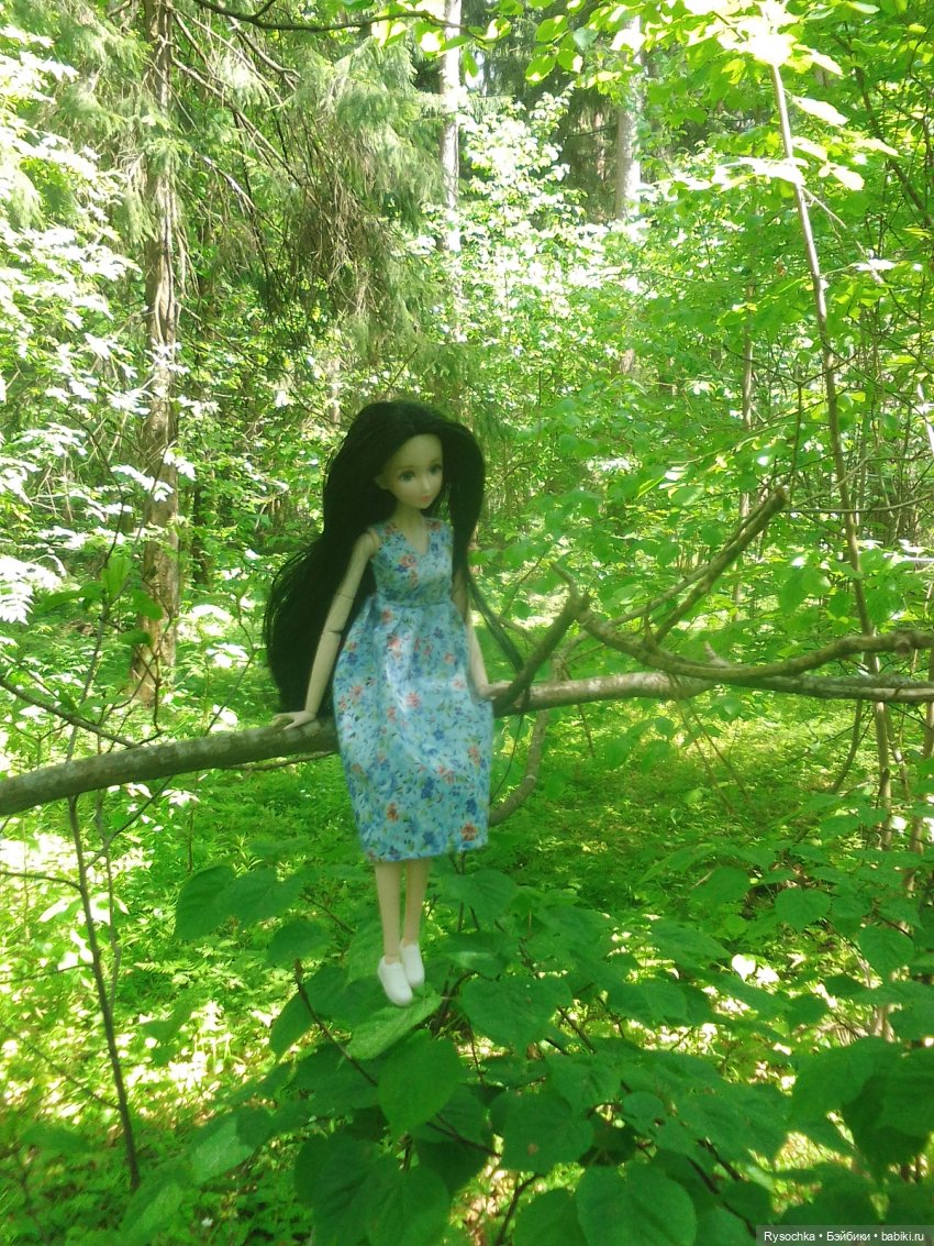 Встреча в лесу — Куклы с Алиэкспресс (Aliexpress): Китайские шарнирные (фото 2)