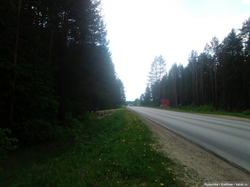 Встреча в лесу — Куклы с Алиэкспресс (Aliexpress): Китайские шарнирные