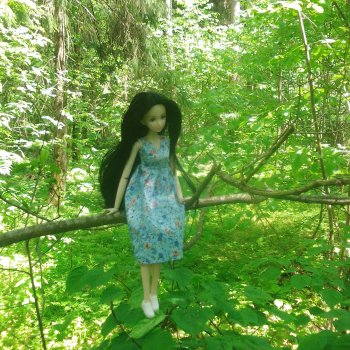 Встреча в лесу