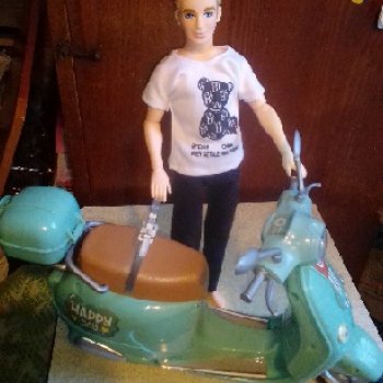 Транспортом обзавелись