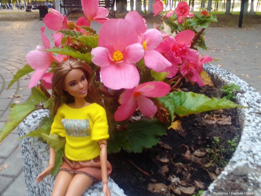 Пр мотивам Есенина — Куклы Barbie (Барби): Looks