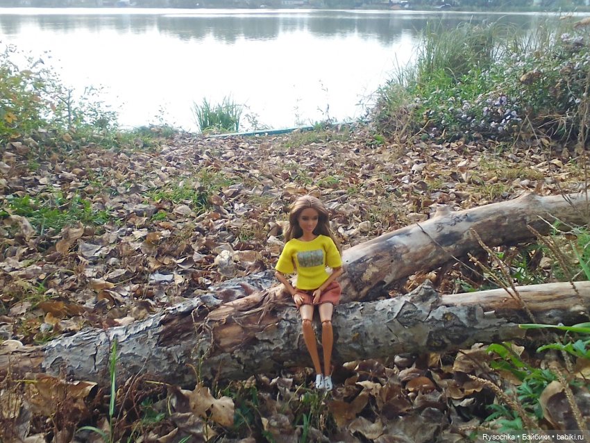 Пр мотивам Есенина — Куклы Barbie (Барби): Looks